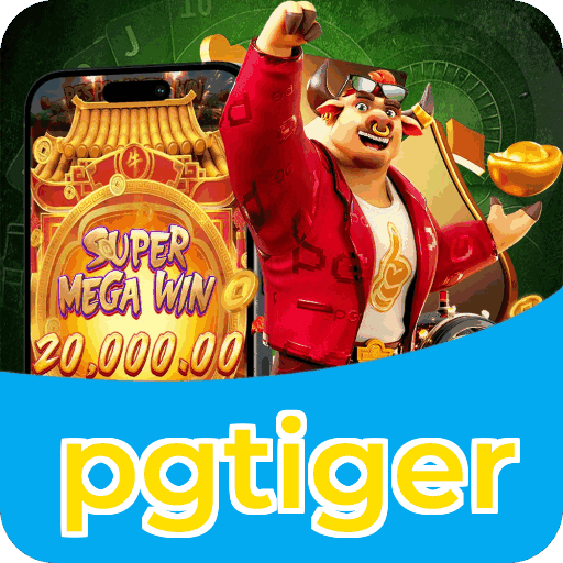 Interface pgtiger
