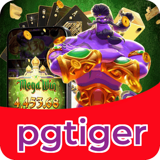 Instalação PC pgtiger